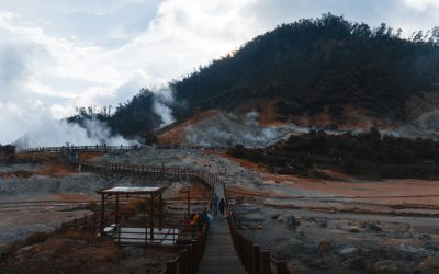 Sosialisasi Penggunaan Website Bagi Puskesmas